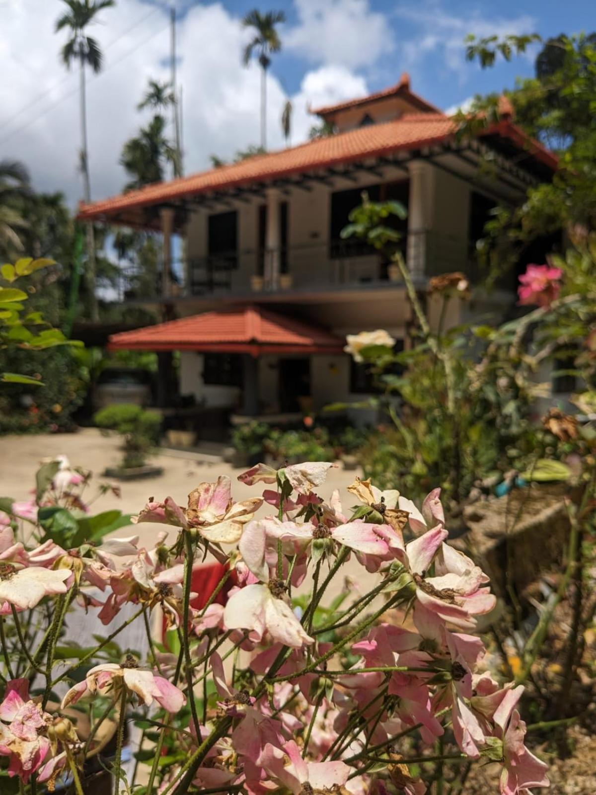 Homestay Vasu Estate *