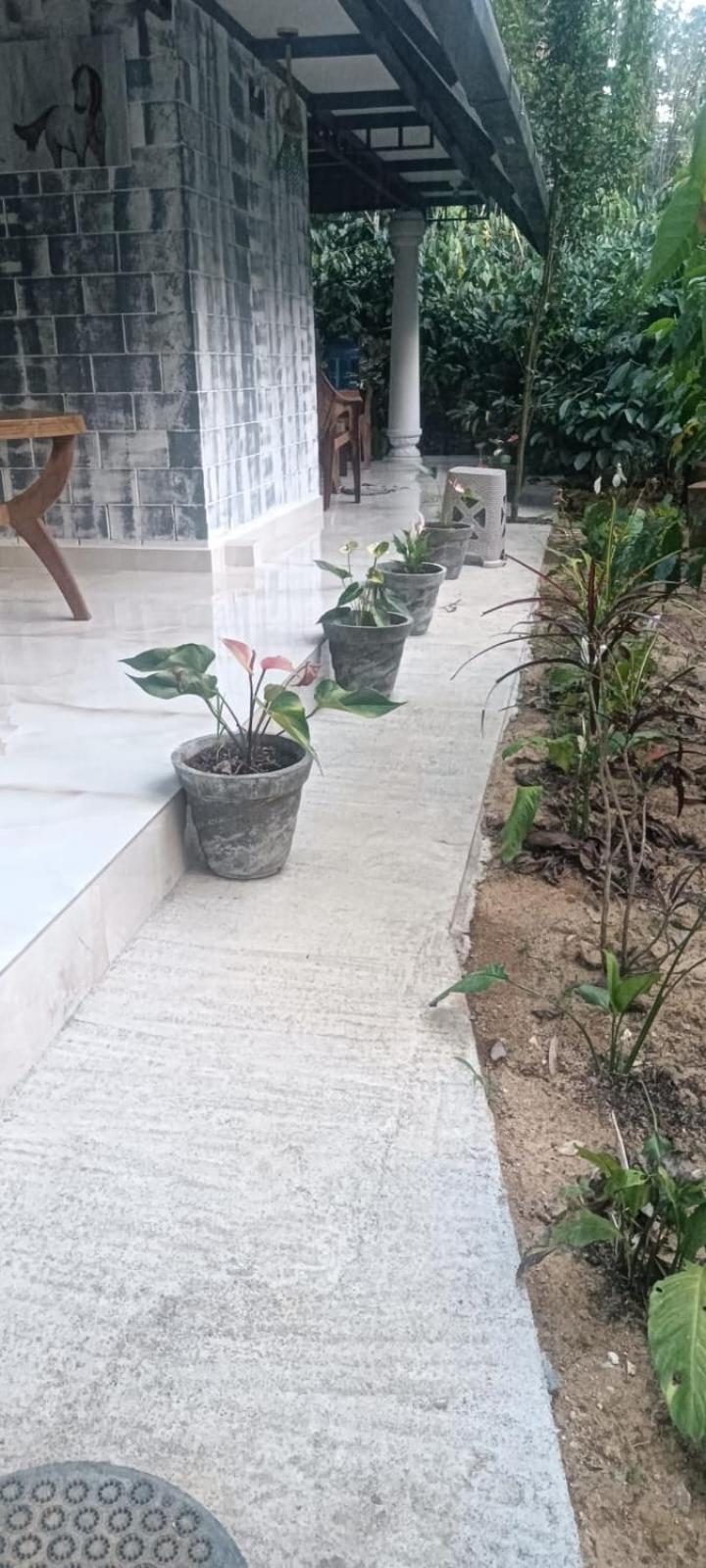 Homestay Vasu Estate Madikeri