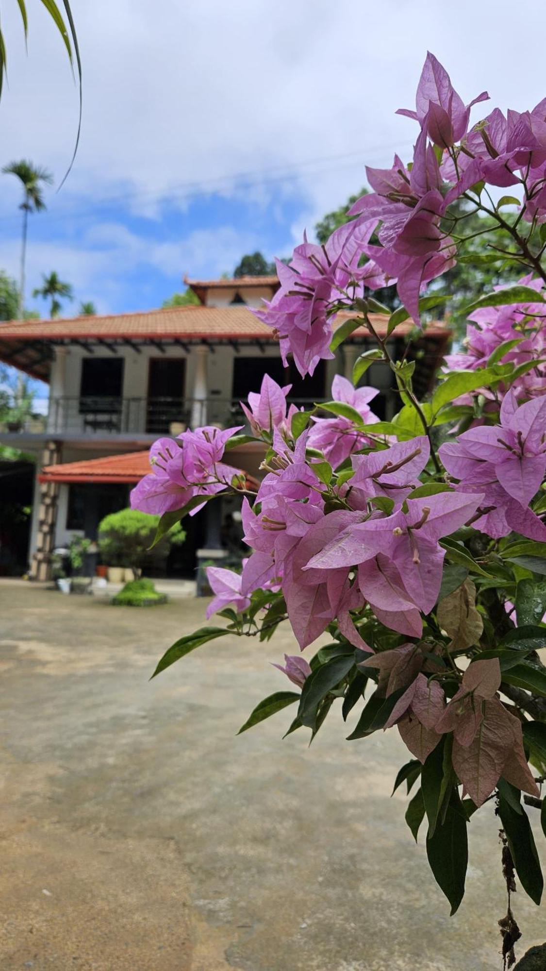 Homestay Vasu Estate *